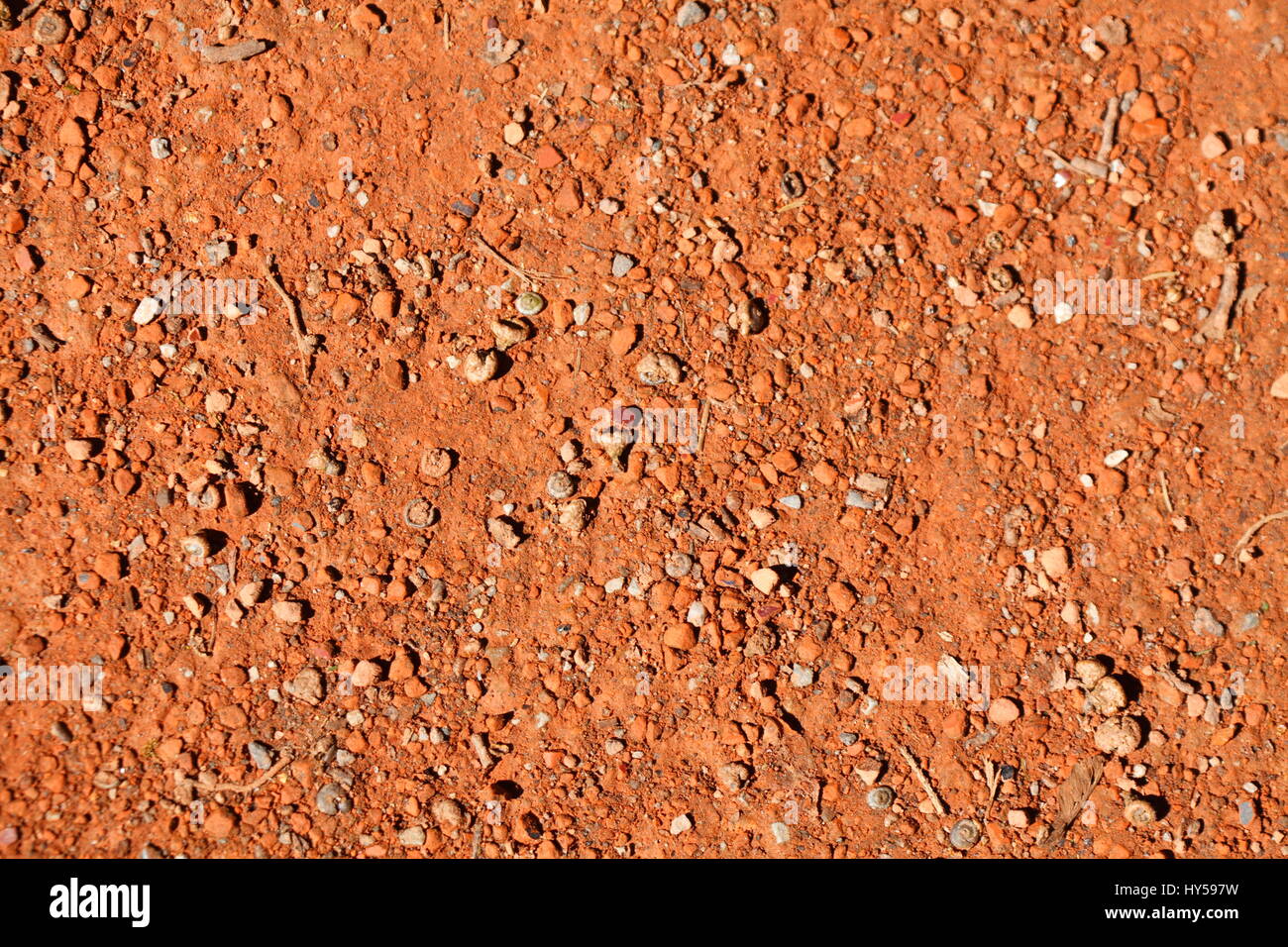 Red Walk in a Park Stock Photo - Alamy