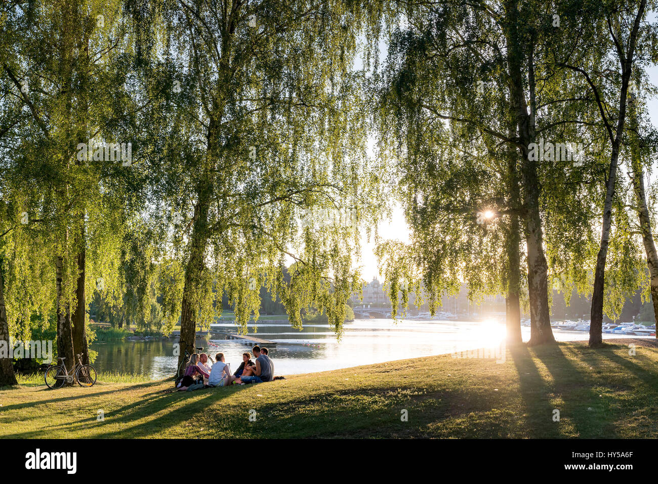 Sweden, Uppland, Stockholm, Djurgarden park on sunny day Stock Photo