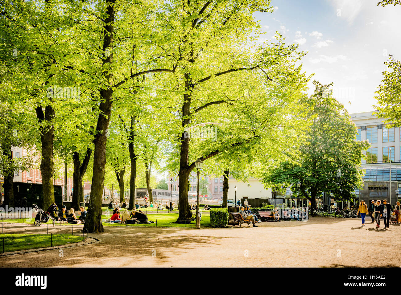 Finland, Uusimaa, Helsinki, City park in summer with people sitting on grass Stock Photo