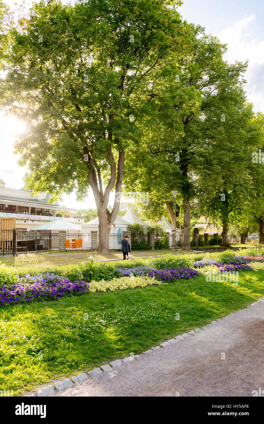 Sweden, Uppland, Uppsala, Stadsparken, Colorful flowers by pedestrian
