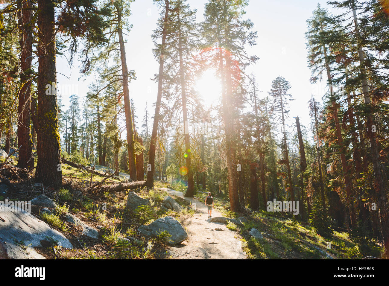USA, California, Yosemite National Park, Man hiking at Taft Point Trail