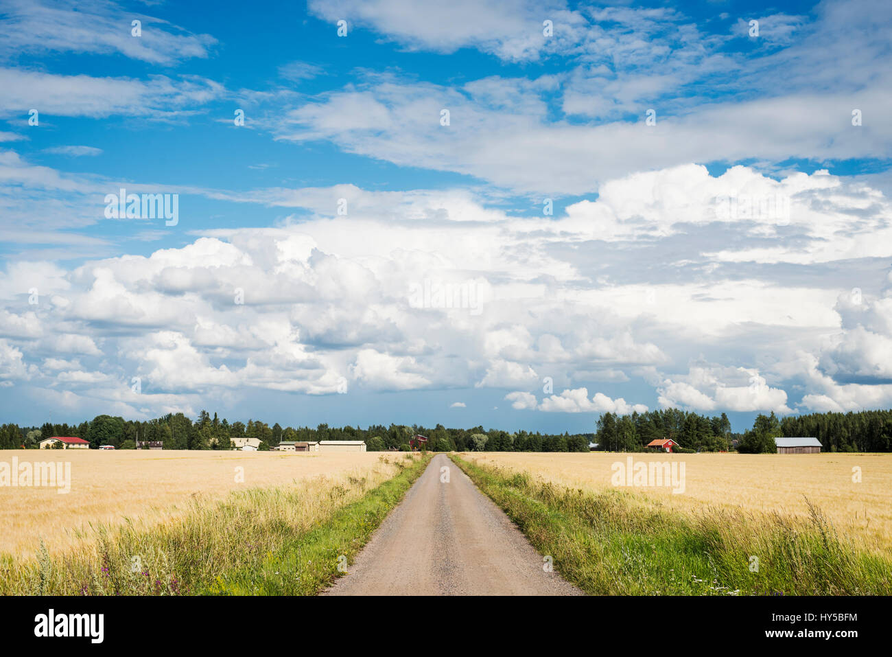 Finland, Varsinais-Suomi, Lieto, Blue sky over dirt road Stock Photo