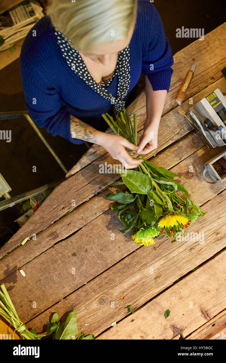 Sweden, Florist working in flower shop Stock Photo Alamy