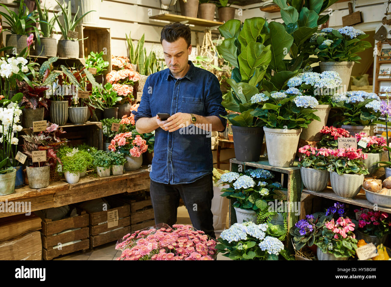 Sweden, Florist using smart phone in flower shop Stock Photo Alamy