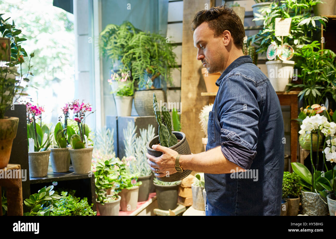 Sweden, Florist working in flower shop Stock Photo Alamy