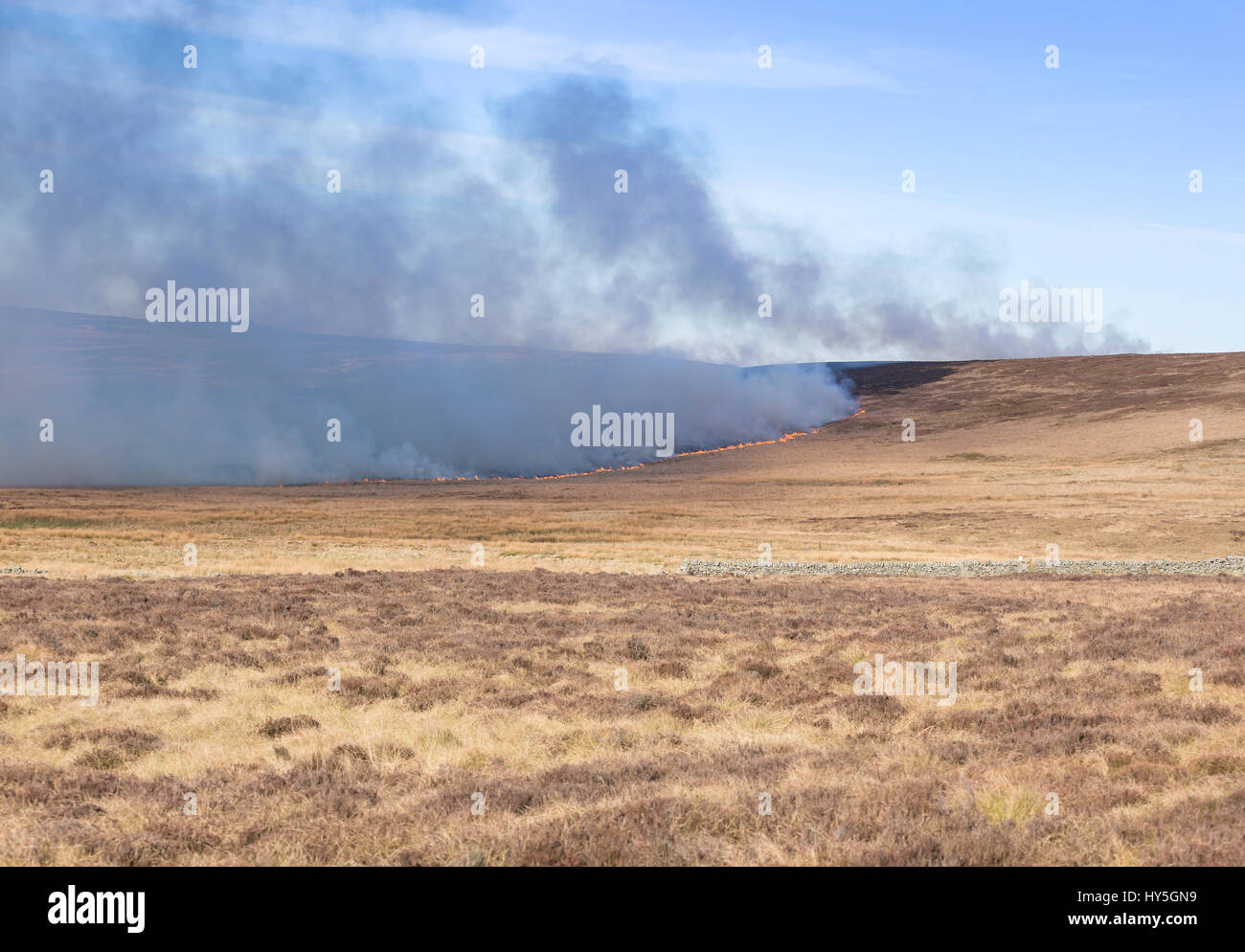 Controlled burning of wild heather on moorland Stock Photo