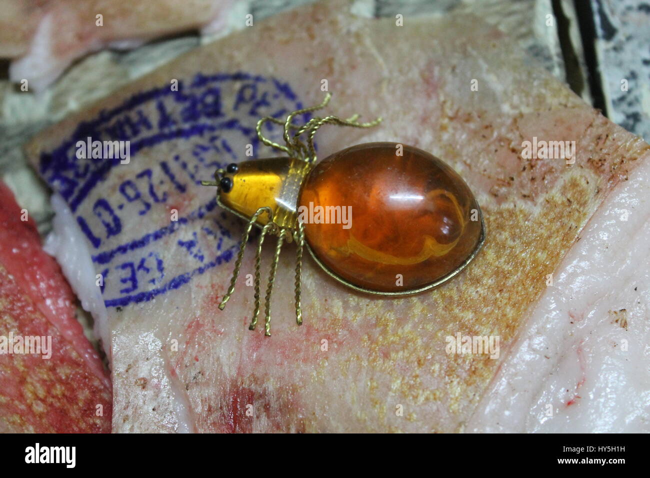 amber brooch in shape of spider lay on fresh bloody pork skin Stock Photo