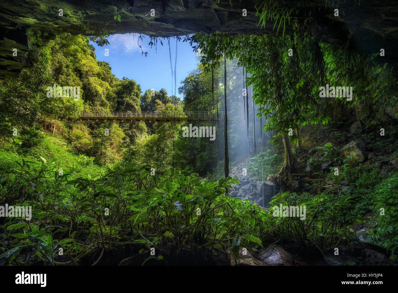 Footbridge and Crystal Falls along the Wonga Walk in the Rainforest of Dorrigo National Park,New South Wales, Australia. Long exposure. Stock Photo