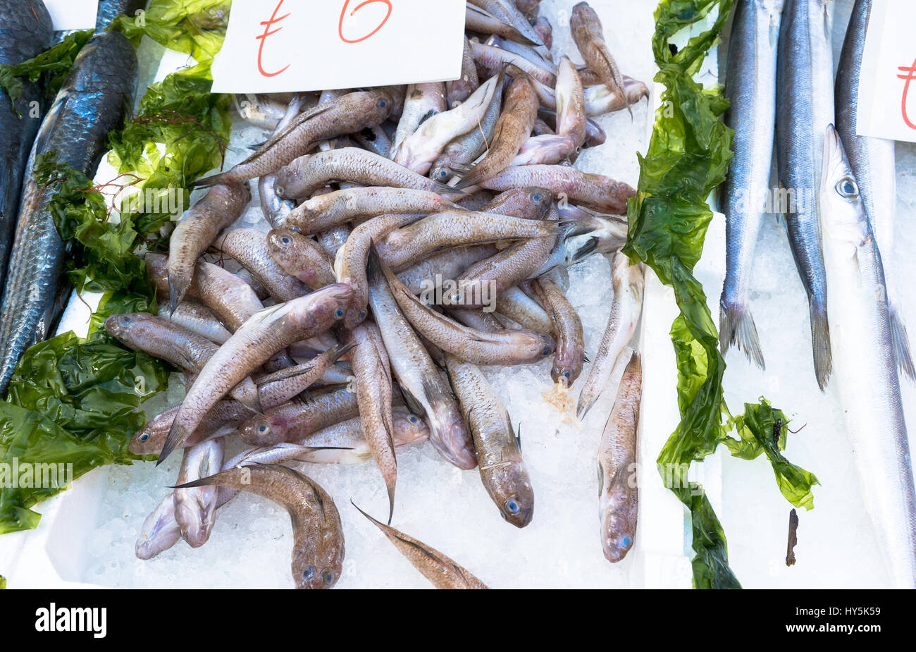 some fish at the  market. Napoli, Italy Stock Photo
