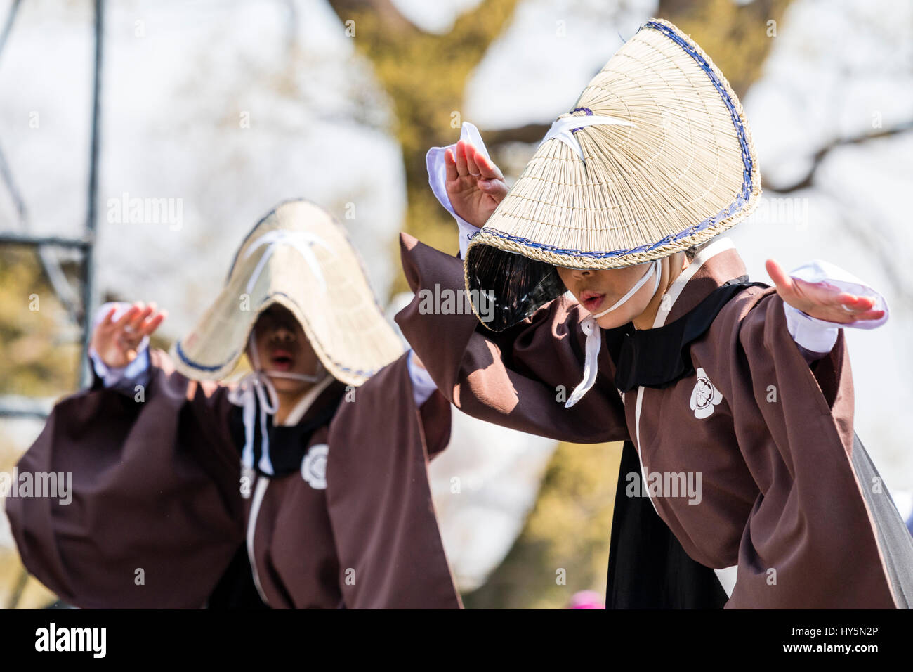 Hinokuni Yosakoi dance Festival in Japan. Women dancers dancing on stage. Wears brown long yukata and straw farmer hats. Stock Photo