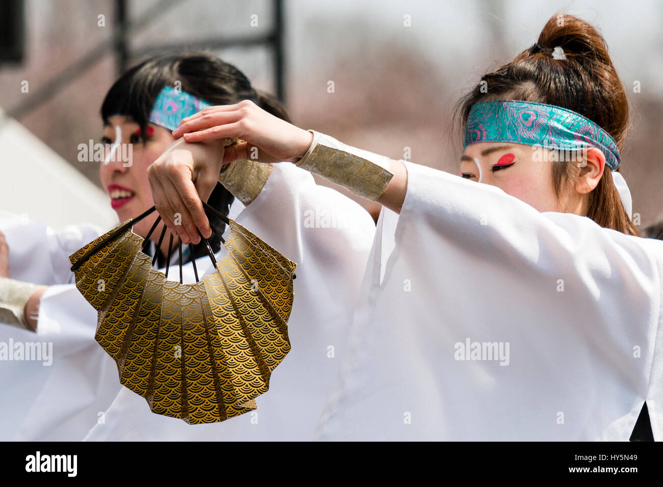 Hinokuni Yosakoi dance Festival in Japan. Close-up of two women dancers in white yukata and blue head-band, holding arms out and holding open fan. Stock Photo