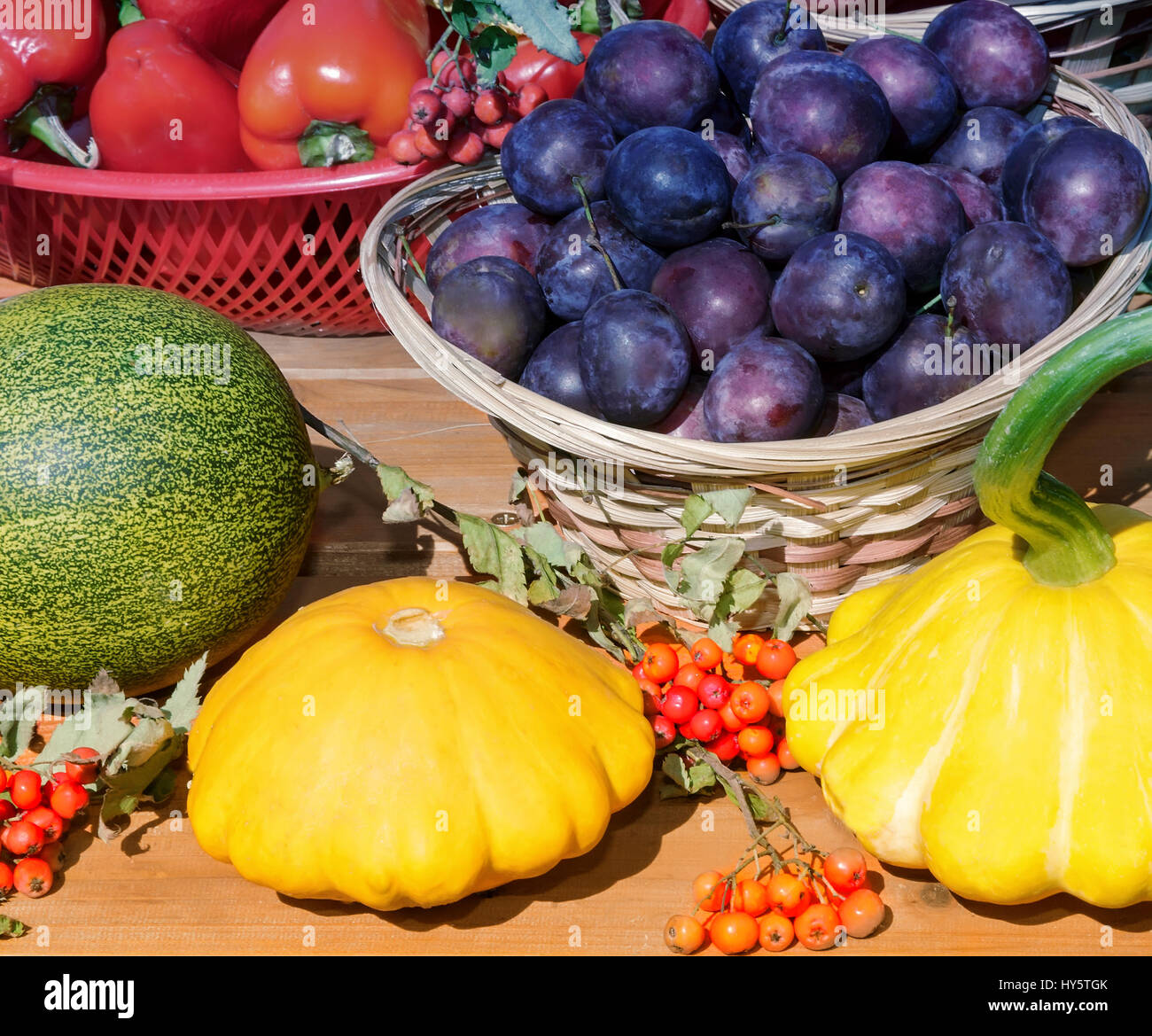On the table in a wicker basket large plum, next to pumpkins, tomatoes and berries of mountain ash. Stock Photo