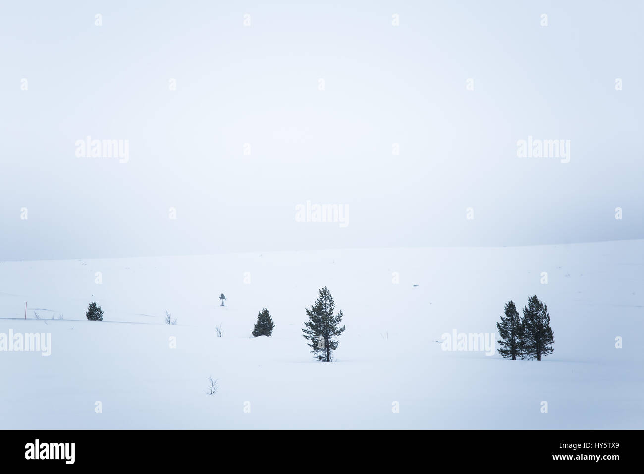 A beautiful, minimalist landscape of snowdrift in Norway. Clean, light, high key, decorative look. Stock Photo