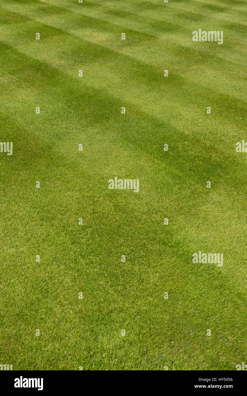 Checkerboard Pattern on a Freshly Mown Green Grass Lawn in the RHS  Garden at Rosemoor in Rural Devon, England, UK Stock Photo
