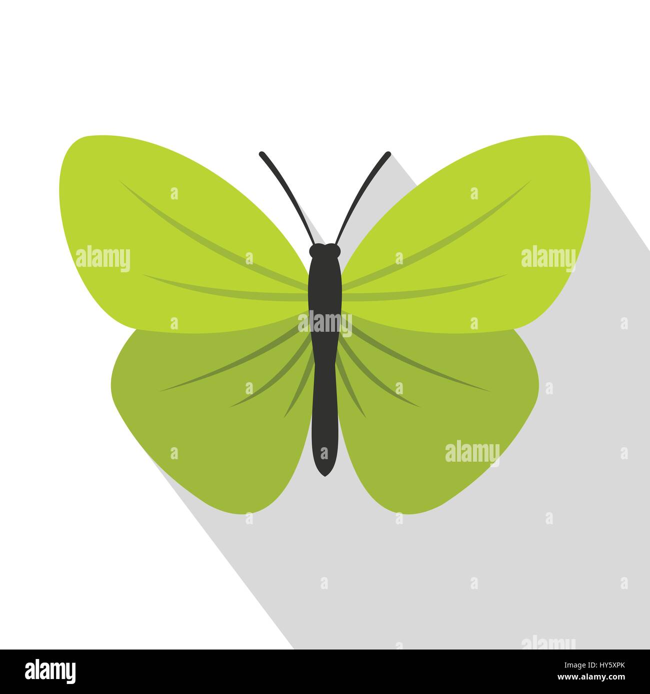 Insect butterfly with small wings icon, flat style Stock Vector Image ...