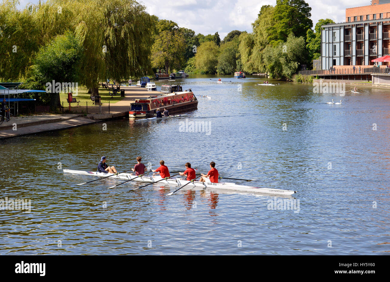 Team rowers river trees hi-res stock photography and images - Alamy