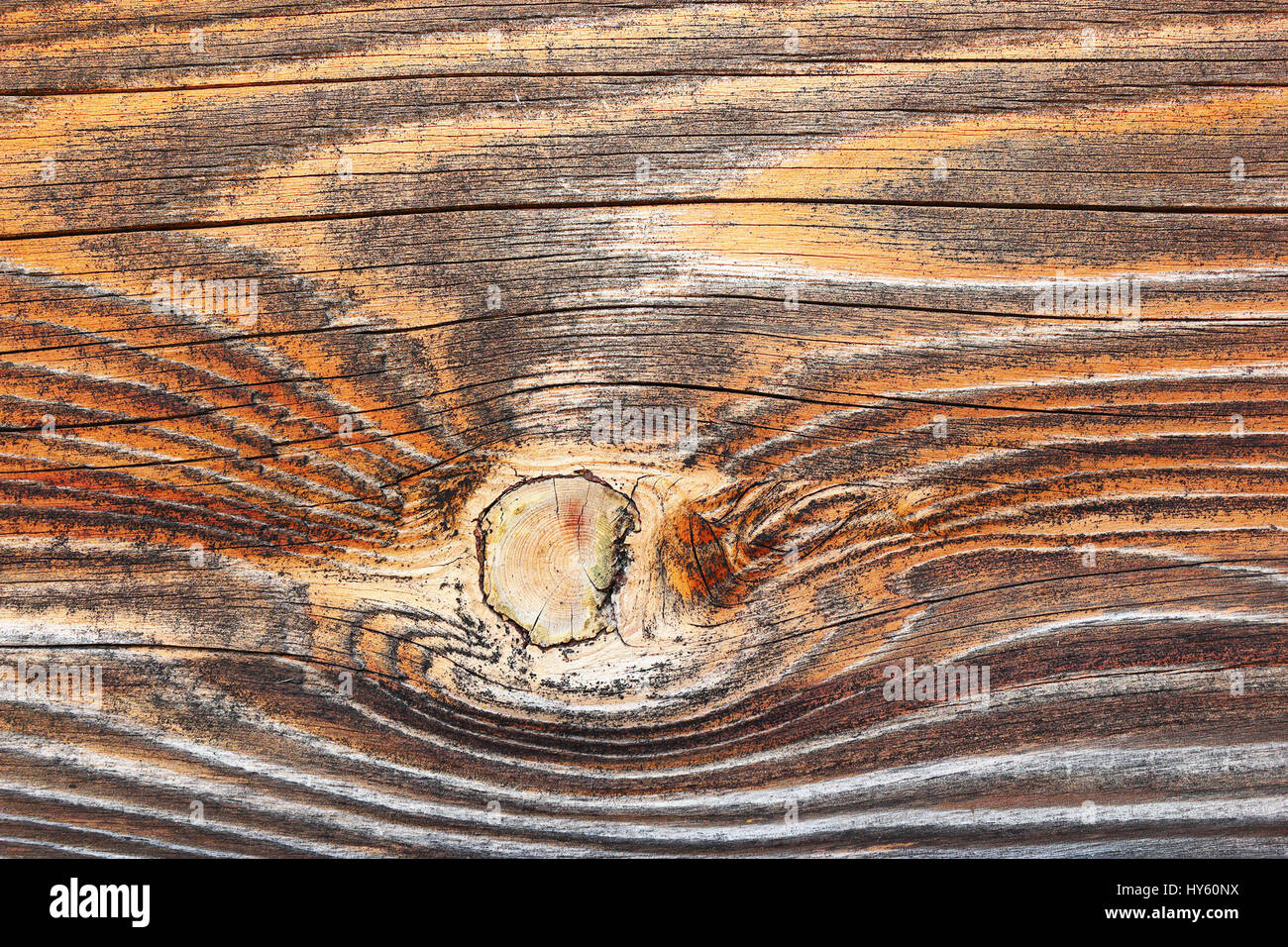 fir wood texture detail, natural real pattern for your rural architectural design Stock Photo