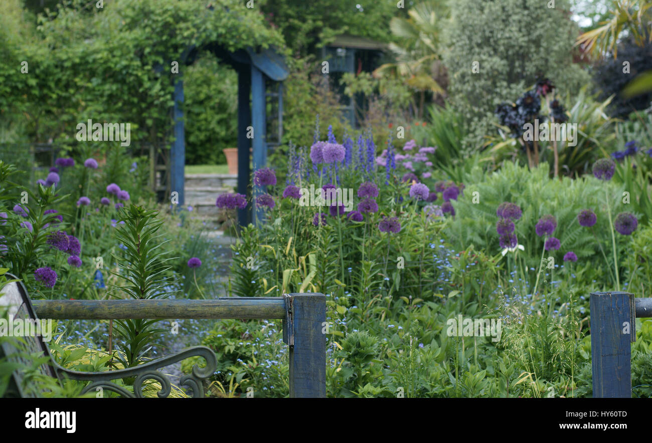 Poppy Cottage Garden Stock Photos Poppy Cottage Garden Stock