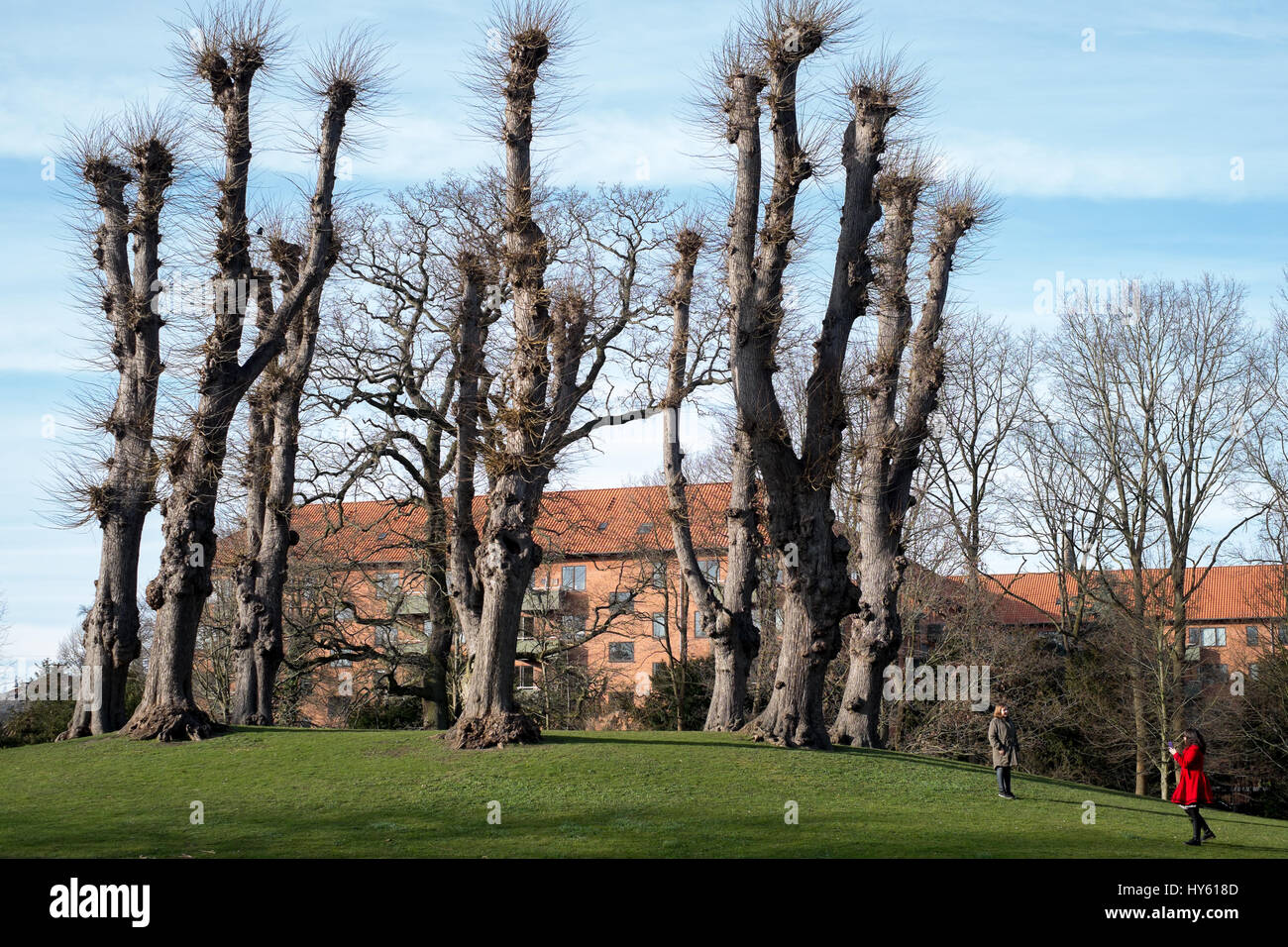 Frederiksberg gardens copenhagen hires stock photography and images