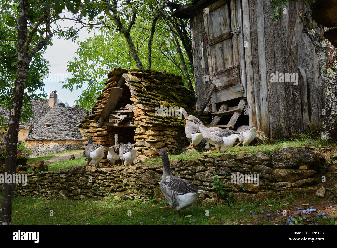 goose house写真 Mother Goose House - Atlas Obscura