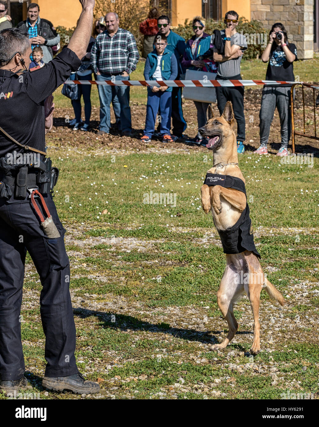 In the Nature Park of Cabárceno de Cantabria. Exhibition of canine guides of the National Police. Spain, Europe Stock Photo