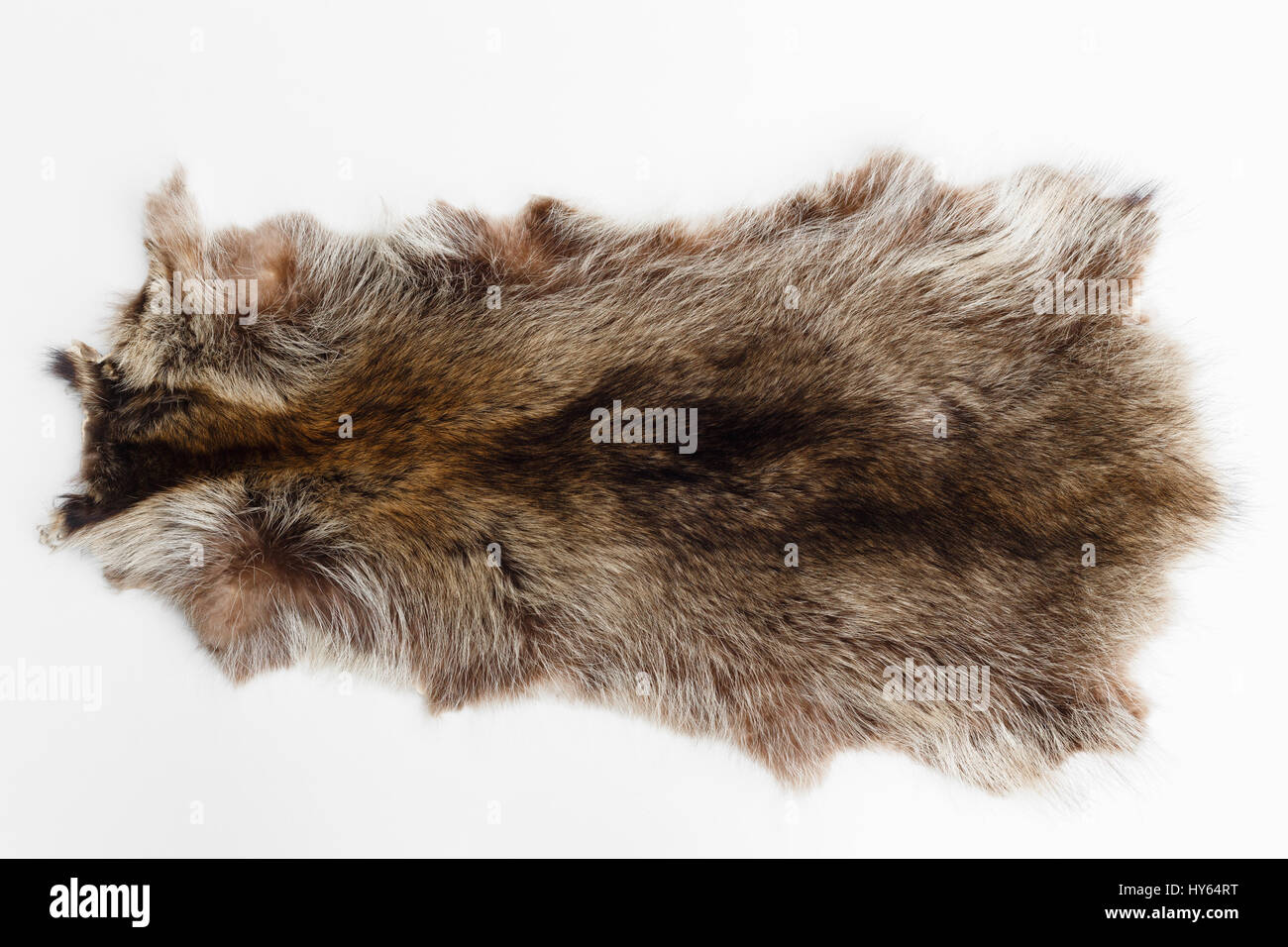 Directly above shot of canadian marmot skin Stock Photo