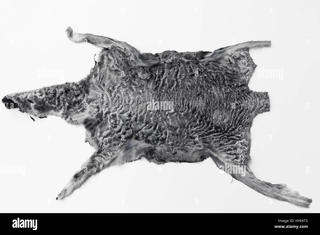 Directly above shot of Persian lamb skin Stock Photo