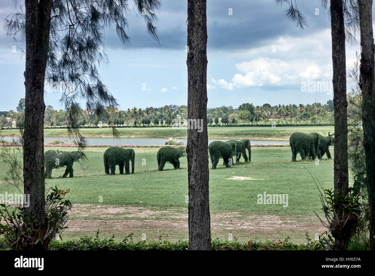 Topiary Thailand elephants. Southeast Asia Stock Photo