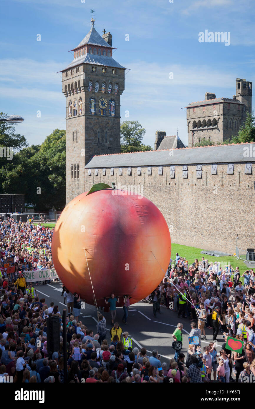 A Giant Peach arrives at Cardiff Castle this afternoon as Cardiff celebrates the Centenary of Roald Dahl. Kiran Ridley/Ethos Stock Photo