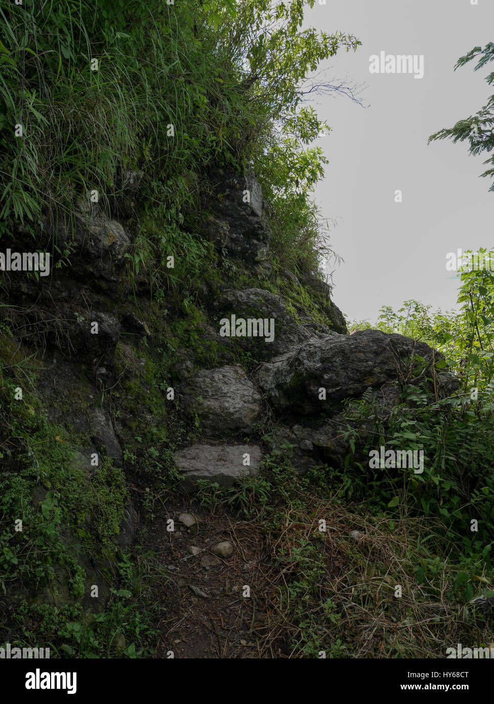 Rocks and bushes next to mountain Stock Photo - Alamy