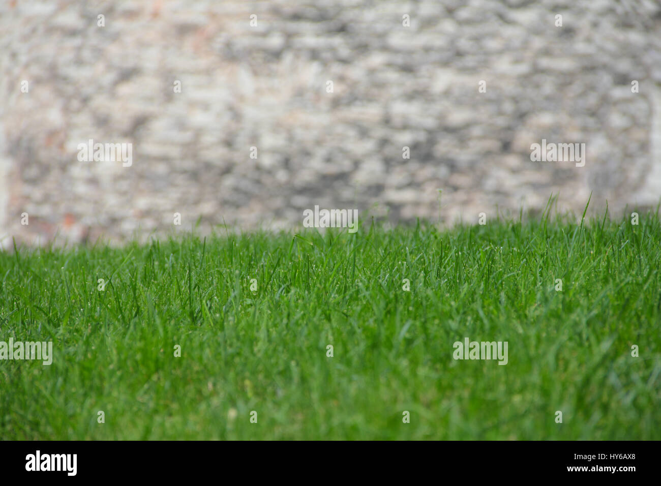 Grass stone wall hi-res stock photography and images - Alamy