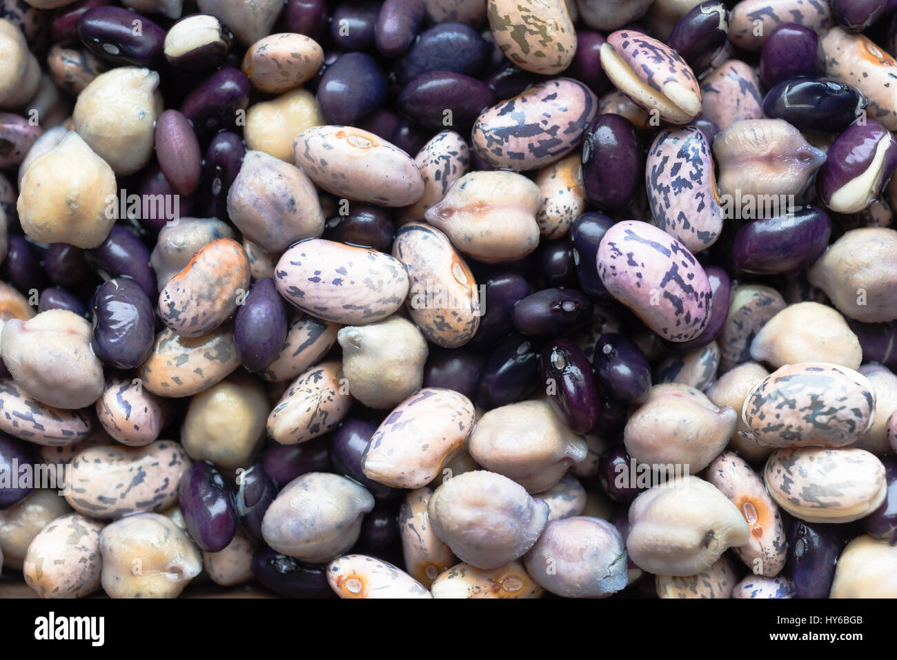 Mutiple types of beans soaking in water prior to cooking Stock Photo