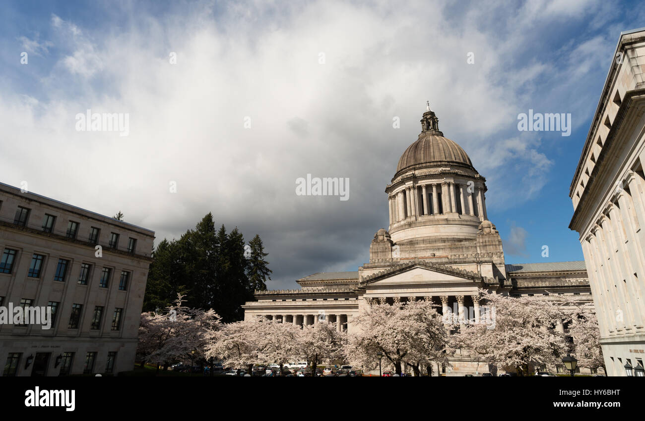 Beautiful flowering blossoms adorn the walkway outside the State Capital in Olympia, Washington Stock Photo