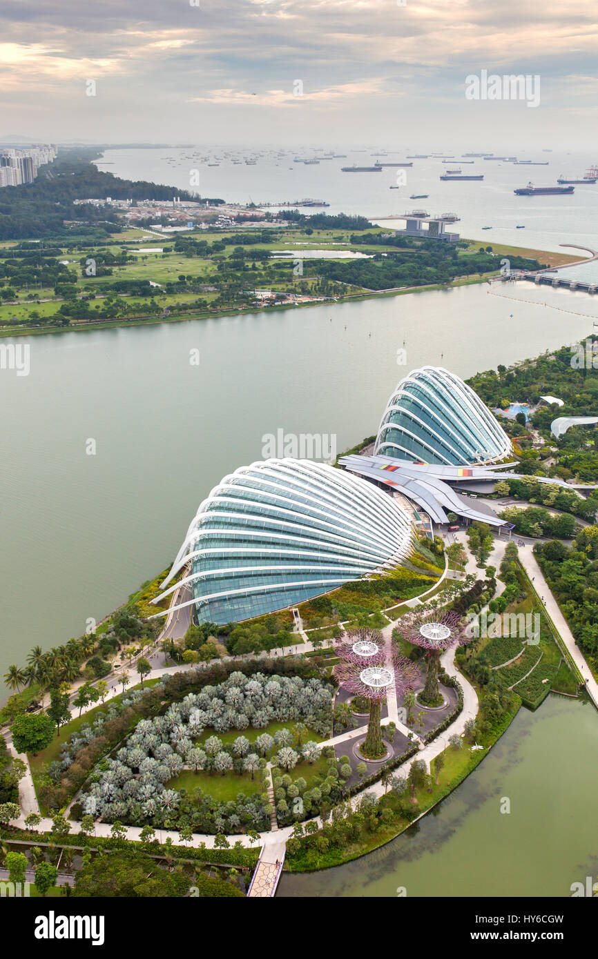 Singapore - June 26, 2016: Aerial view of Supertree Grove at Gardens by the Bay from the Marina Bay Sands Hotel  in Singapore Stock Photo