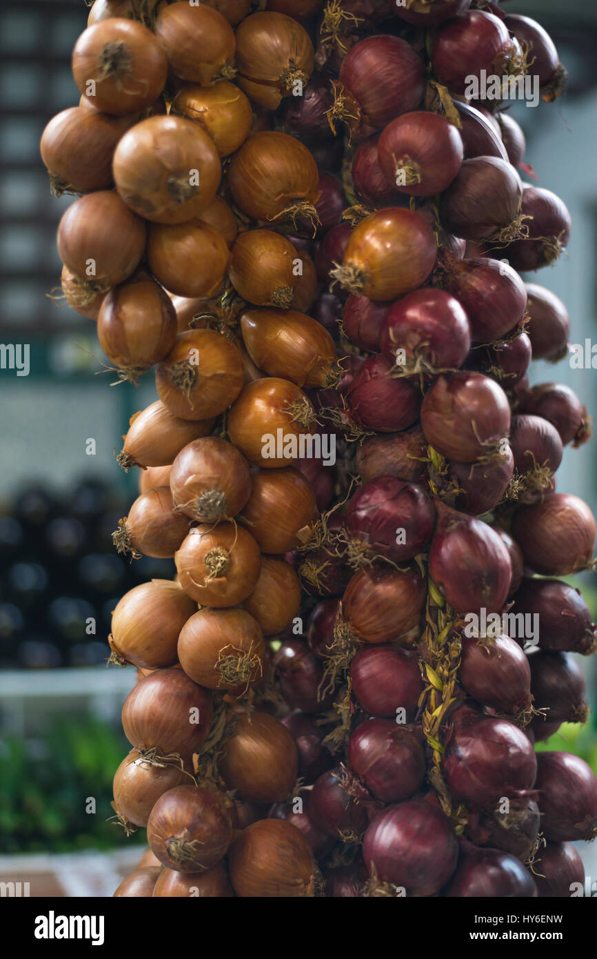 Bunch of onion and red onion for sale on the market. Stock Photo