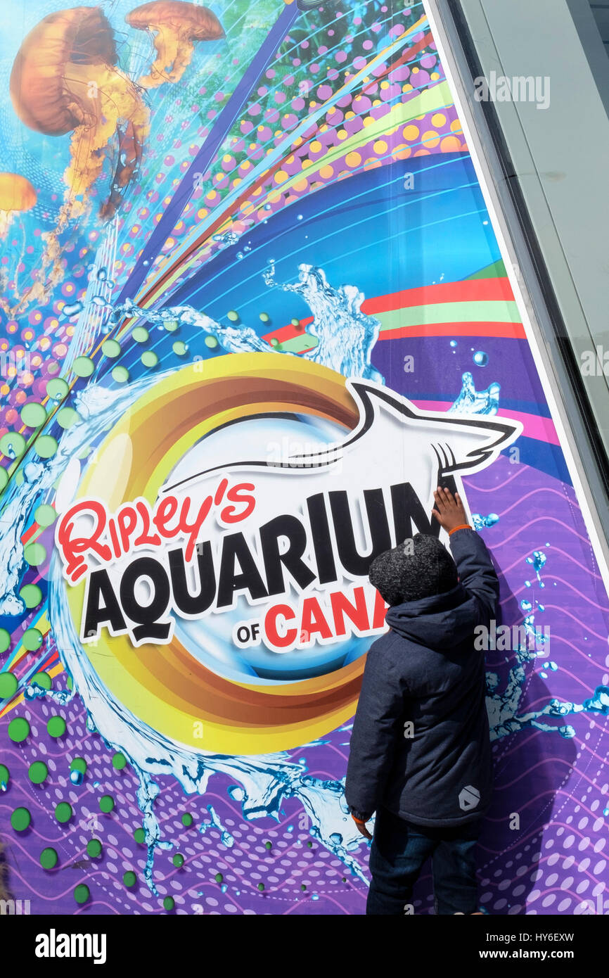 Young African-American kid standing and touching Rypley's Aquarium of Canada logo, downtown Toronto, Ontario, Canada. Stock Photo