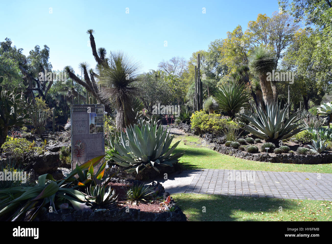 Mexico city university botanical garden Stock Photo