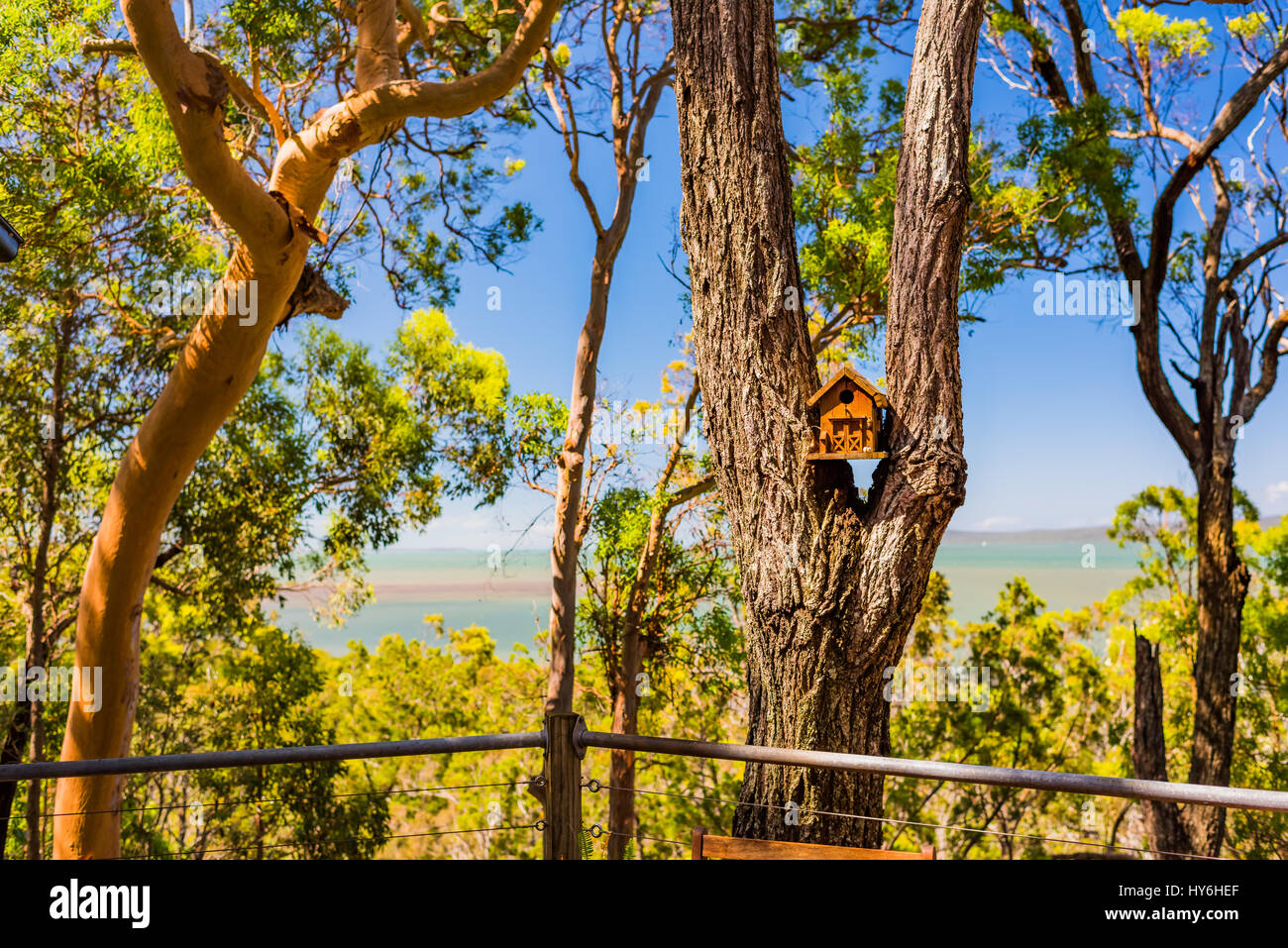 MacLeay Island, Queensland, Australia Stock Photo Alamy