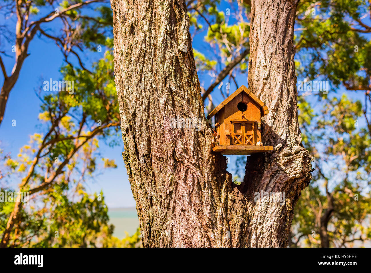 Moreton island wildlife hires stock photography and images Alamy