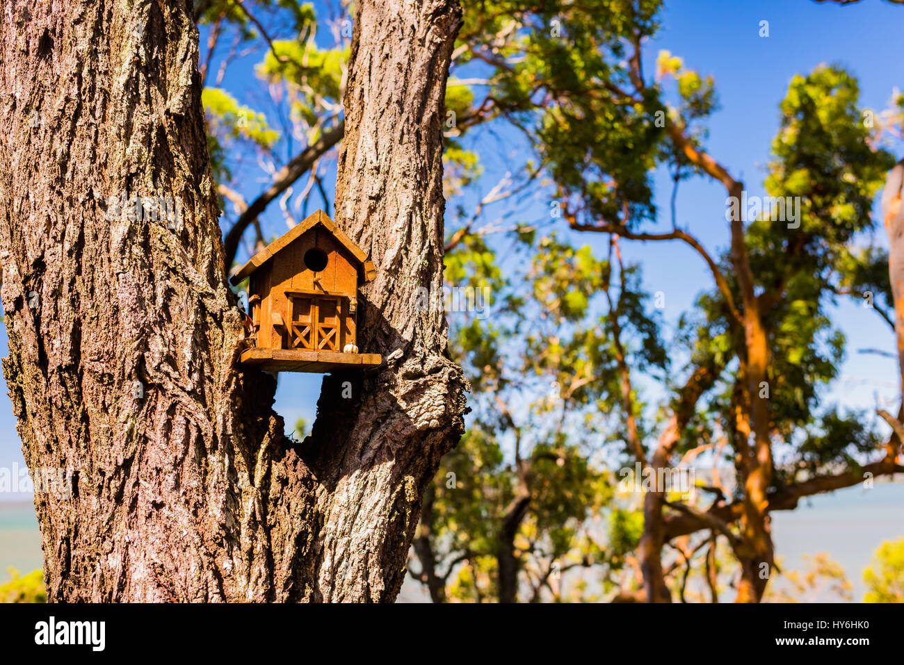 Moreton island wildlife hires stock photography and images Alamy