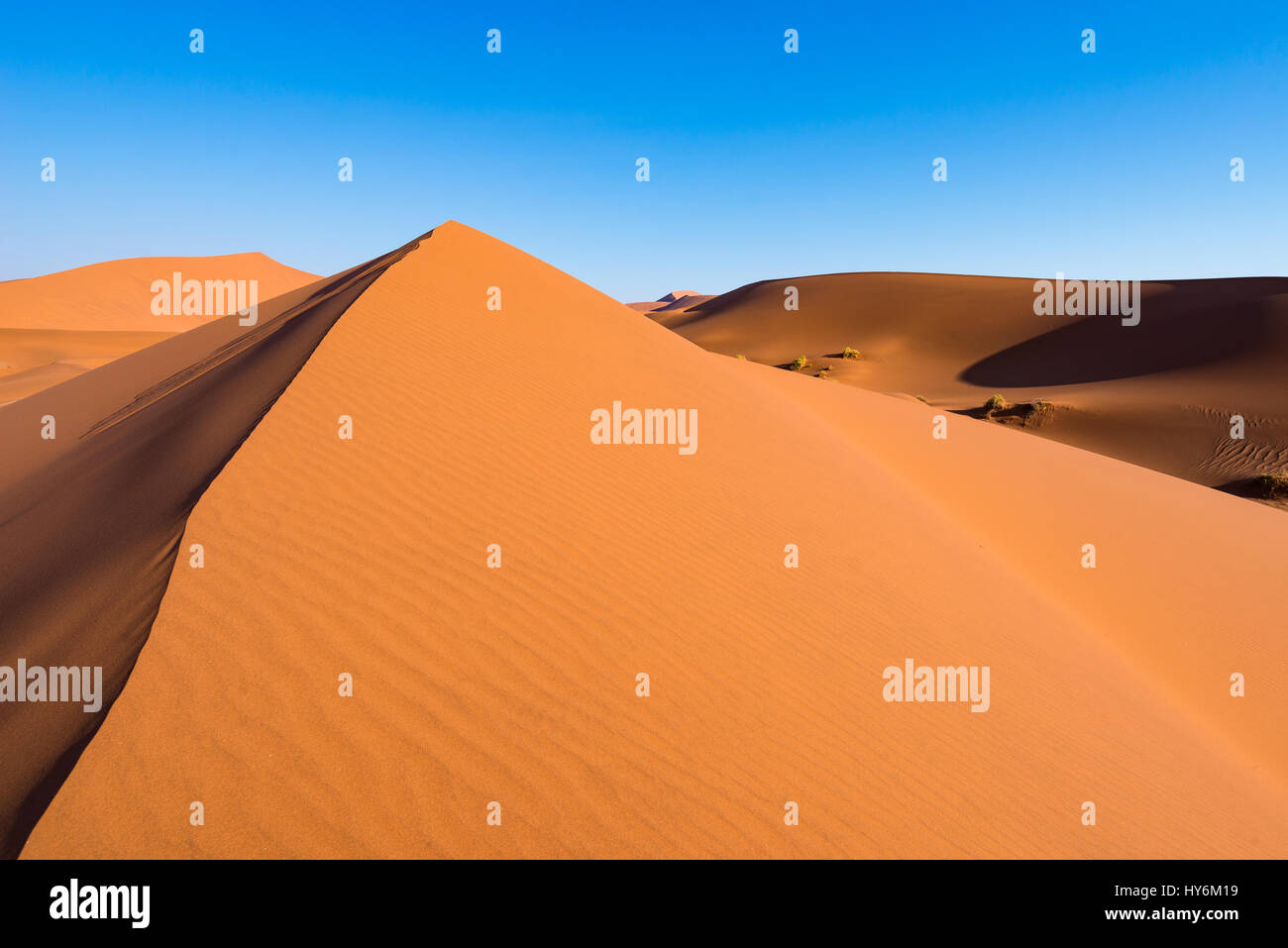 Scenic ridges of sand dunes in Sossusvlei, Namib Naukluft National Park ...