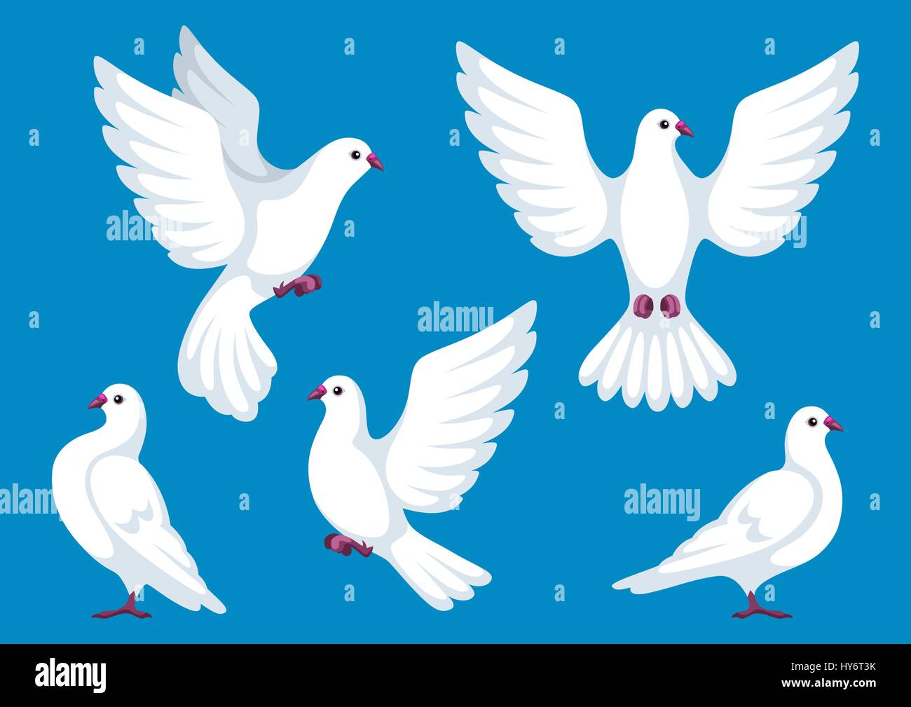 Set of five white doves. Beautiful pigeons faith and love symbol Stock Vector Image & Art Alamy
