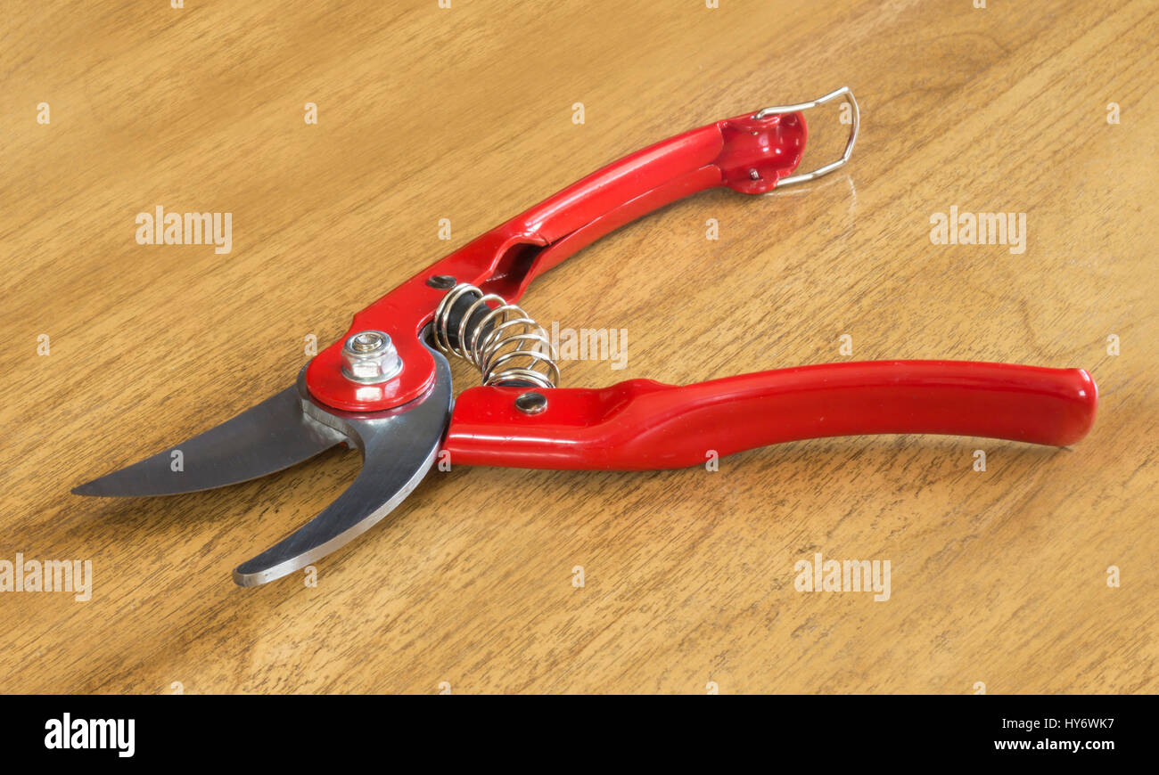 Garden scissors with red handle on background of the wooden table Stock Photo
