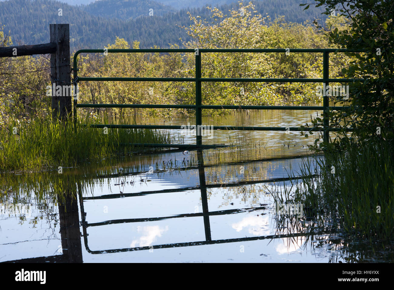 Gate reflection in flood waters Stock Photo