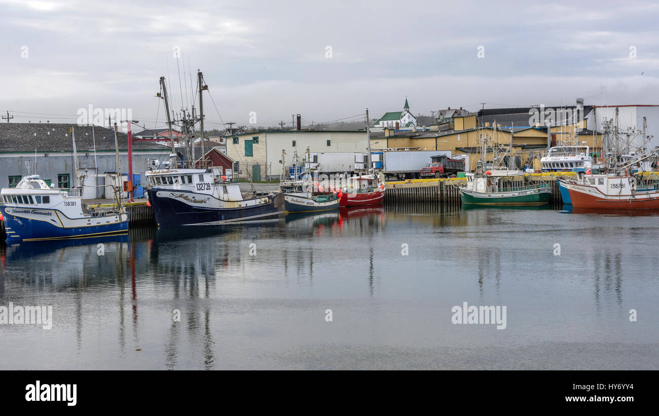 Bonavista harbour with fishing boats, Bonavista, Newfoundland Stock