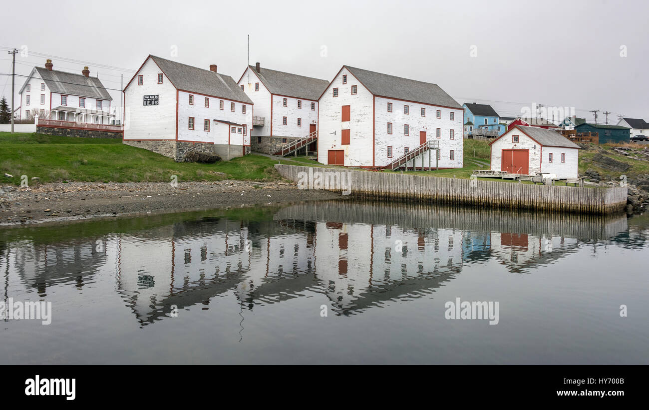 Wooden pillings hi-res stock photography and images - Alamy