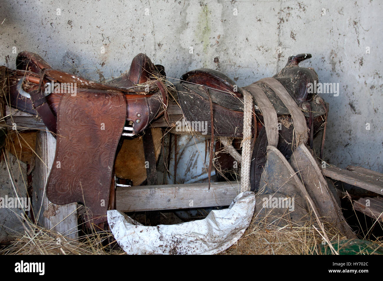 A pair of old saddles collecting dust Stock Photo
