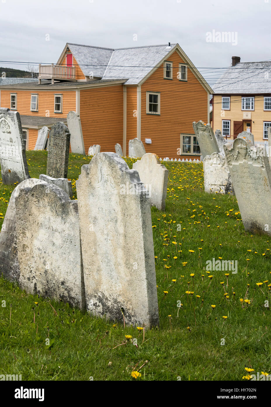 Gravestones and salt box houses, Trinity, Newfoundland Stock Photo Alamy