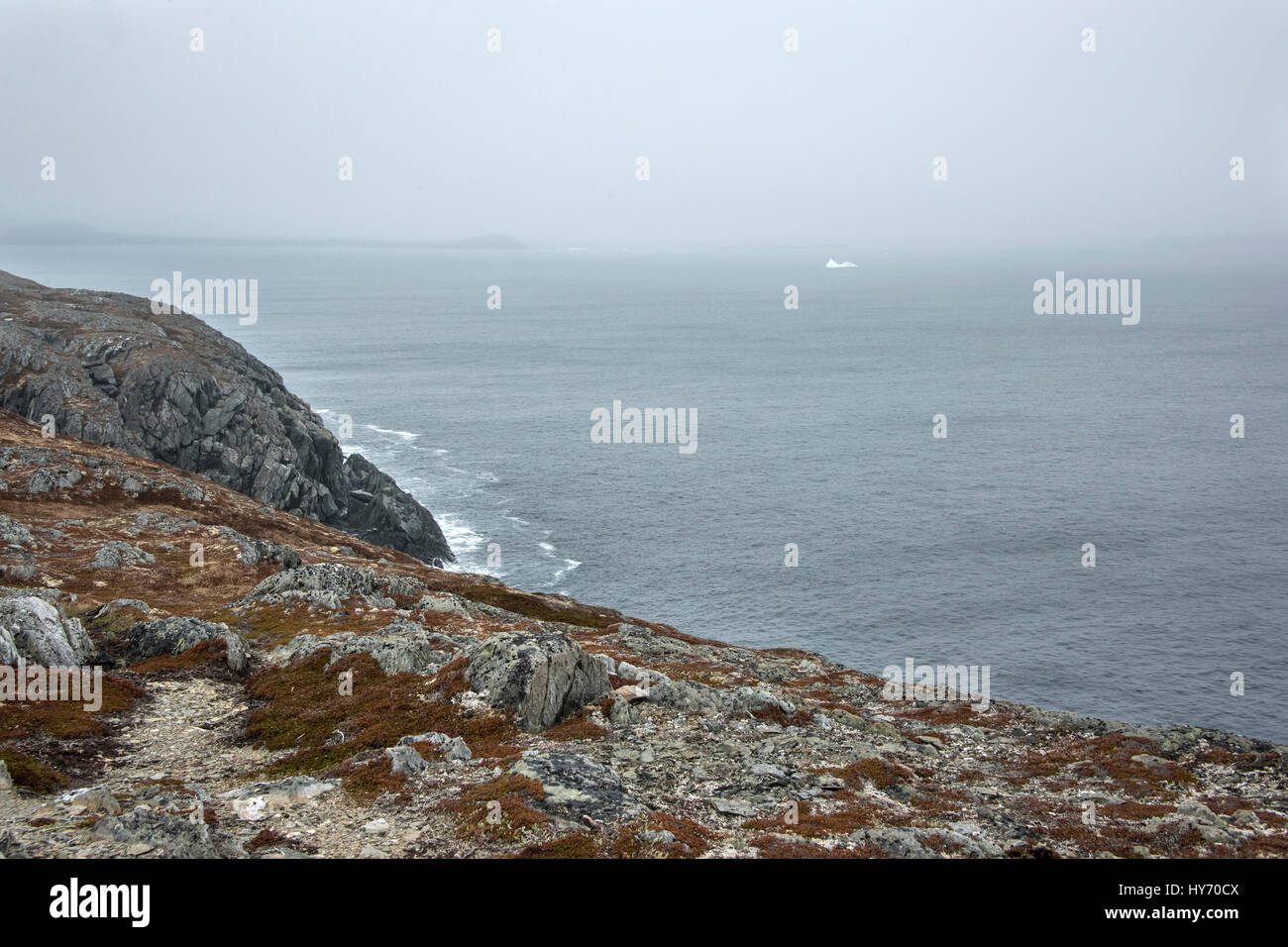 Rocky coast with lichens, Quirpon Island, Strait of Belle Isle, Newfoundland Stock Photo