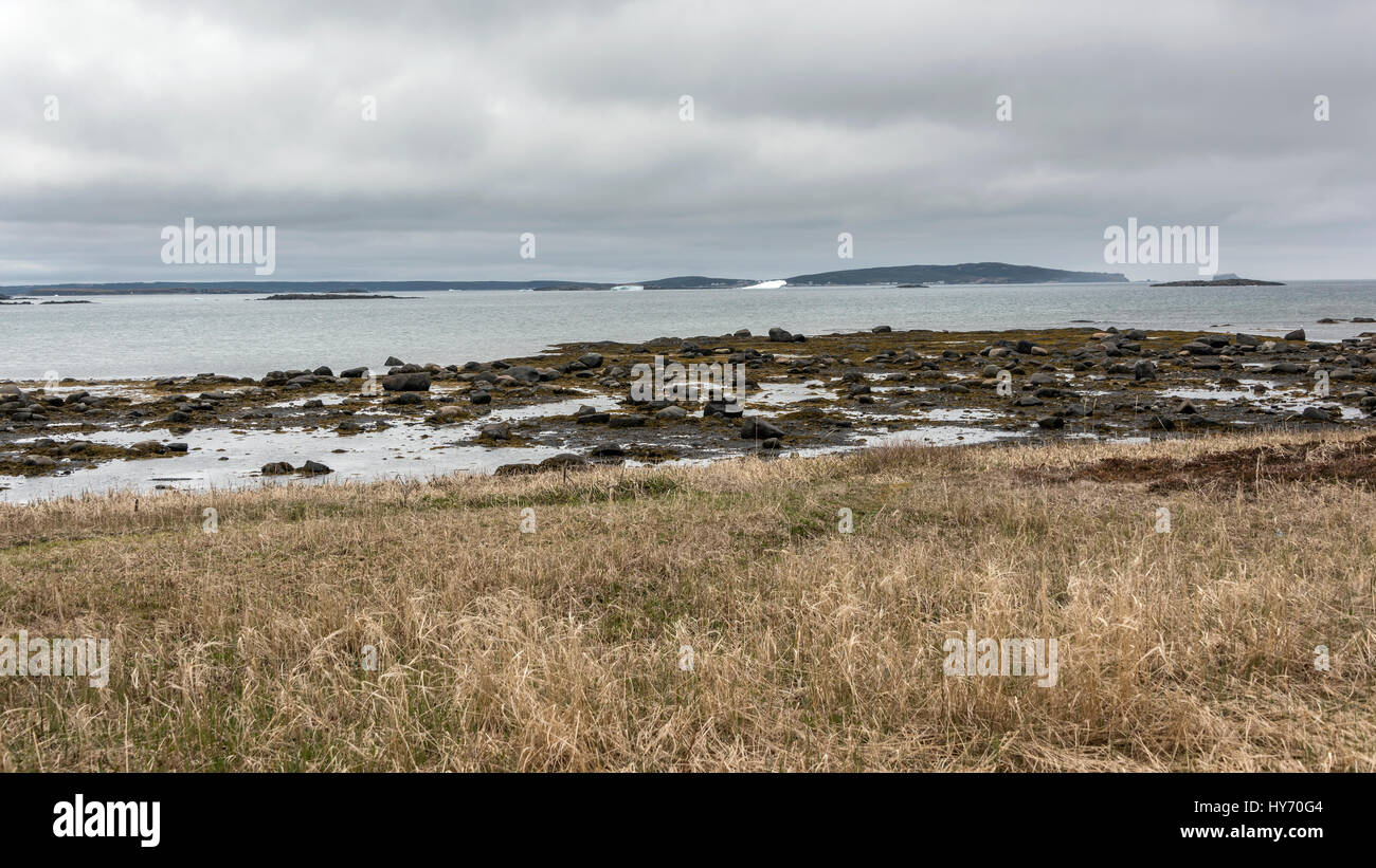 Vikings land newfoundland hi-res stock photography and images - Alamy